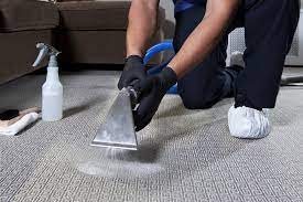 professional in home carpet cleaning