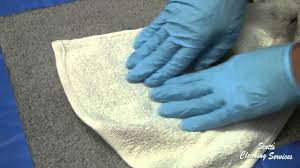 carpet cleaning scotts cleaning services