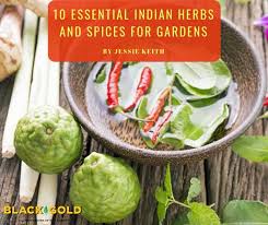 Indian Herbs And Spices For Gardens