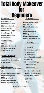 day workout routines for beginners