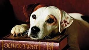 what s the story a history of wishbone
