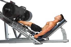 Top 10 Best Leg Exercises Muscle Performance