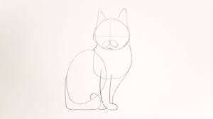 how to draw a cat 4 step by step tutorials