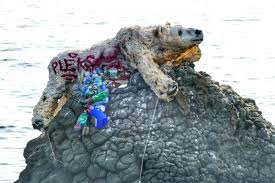 PHOTOS. Mais quel est cet ours polaire éventré, échoué sur un rocher au  large d'une plage d'Antibes? - Nice-Matin