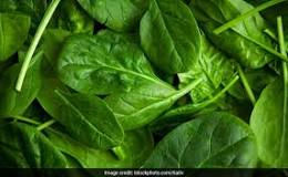 Does spinach raise blood sugar?