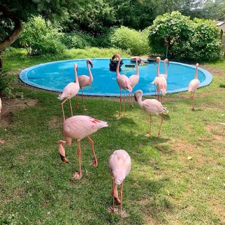 Southwick's Zoo