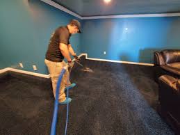 professional carpet cleaning company