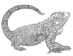 Green iguana coloring pages cute easy animal drawings easy. Iguana Reptile Zentangle Coloring Page By Pamela Kennedy Tpt