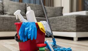 how to clean the couch with baking soda