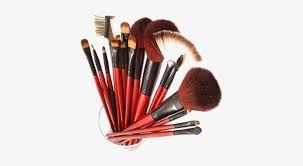 shany professional cosmetic brush set
