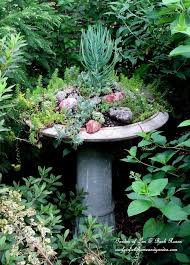 Succulent Garden Birdbath