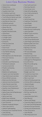 lawn care business names 500 funny
