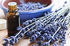 how to make lavender perfumes and