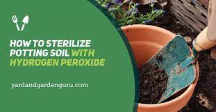 How To Sterilize Potting Soil With