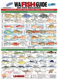 Wa Fish Guide State Regulations Poster
