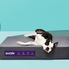 Clean dog beds by spot cleaning or throw machine washable dog beds and covers directly into the wash. 10 Best Dog Beds In 2021 Top Rated Beds For Small And Large Dogs