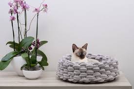 Aesthetically speaking, cat beds should be designed to fit into the modern home, says damian hall, senior marketing manager at catit. Mau Modern Cat Bed Velvety Cat Basket Cat Furniture Etsy