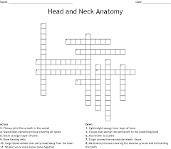 Porous bone usually filled with red marrow Head And Neck Anatomy Crossword Wordmint