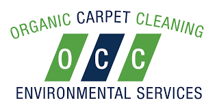 extra services organic carpet cleaning