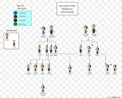 Start from one of our gorgeous templates, import up to 10 generations of genealogy in minutes, and customize. Pedigree Chart Eye Color Genetics Family Tree Dominance Png 800x659px Pedigree Chart Brand Chart Diagram Dominance