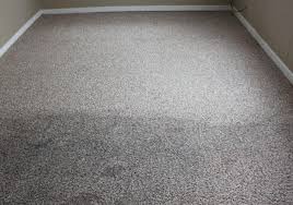 carpet cleaning dublin the carpet