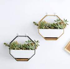 Wall Mounted Terrariums And Planters To