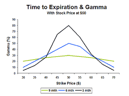 Gamma Explained The Options Futures Guide