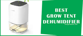 Finding the best dehumidifier for basement might give you a hard time. Best Dehumidifier For Grow Tent 2021 Top Picks This Gardener