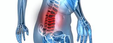 Webmasters, you can add your site in. Can Back Pain Cause Stomach Pain Texas Spine Clinic