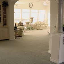 carpet cleaning in greenville sc