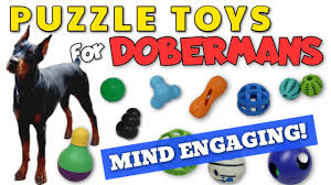 best puzzle toys for dobermans highly