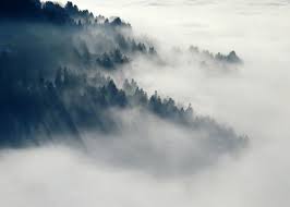 Fog is a visible aerosol consisting of tiny water droplets or ice crystals suspended in the air at or near the earth's surface. Code Yellow Warning For Fog In 5 Bulgarian Regions Novinite Com Sofia News Agency