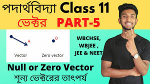 zero vector cl 11 physics in bengali