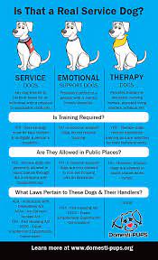 How To Get An Emotional Support Animal gambar png