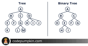 binary tree binary tree introduction