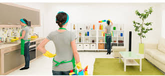 Professional House Cleaning Services In Sector 45 Gurgaon Eco