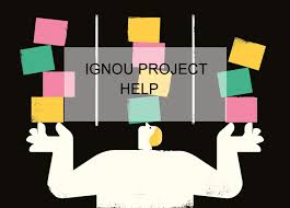 ignou project help guidelines for