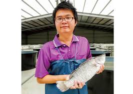 峰漁公司讓臺灣養殖漁業成世界亮點| 經貿透視雙周刊