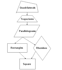 Quadrilaterals Flow Chart Grade 7 Mathematics Kwiznet