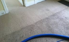 rug and le cleaning in appleton wi