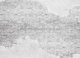 Old Brick Wall Dd118771 Wallcovering