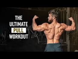 the ultimate push pull legs series