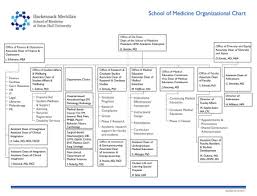 School Of Medicine Organizational Charts Seton Hall University