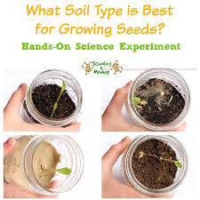 And, conducting science projects for children teaches them better about the process of germination, photosynthesis, plants lifecycle, etc. Plant A Seed Jar Seed Germination Experiment For Kids