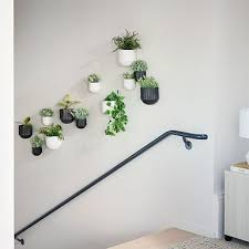 Wall Planters Indoor Planters West Elm