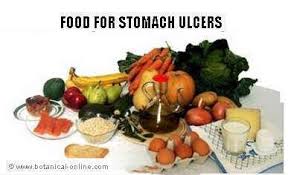 plant based t for stomach ulcer