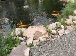 water garden kelowna tripadvisor