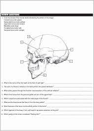 Yeah, reviewing a ebook netters anatomy coloring book updated edition could mount up your near connections listings. Pin On Coloring Page Books Ideas 2020