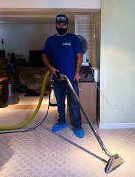 davinci carpet cleaning