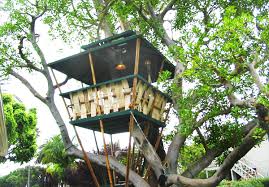 Hooch Bamboo Treehouse Holds Record For